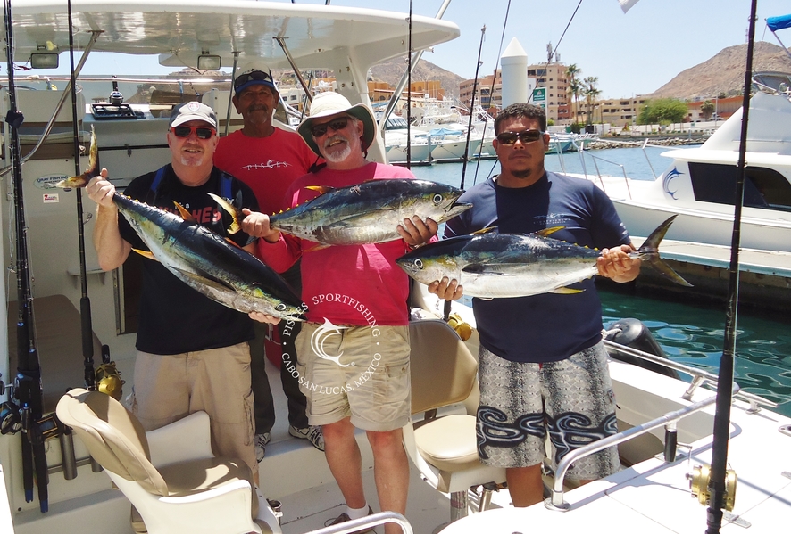 Will, Pierce and Drew Mehrten from Alamo, CA; with two nice Wahoos and a Dorado aboard the Hot Rod.