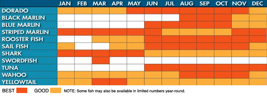 Cabo Fishing Season Chart