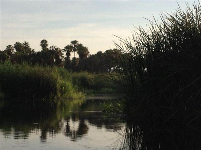 The estuary San Jose Del Cabo