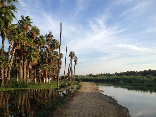 The estuary San Jose Del Cabo