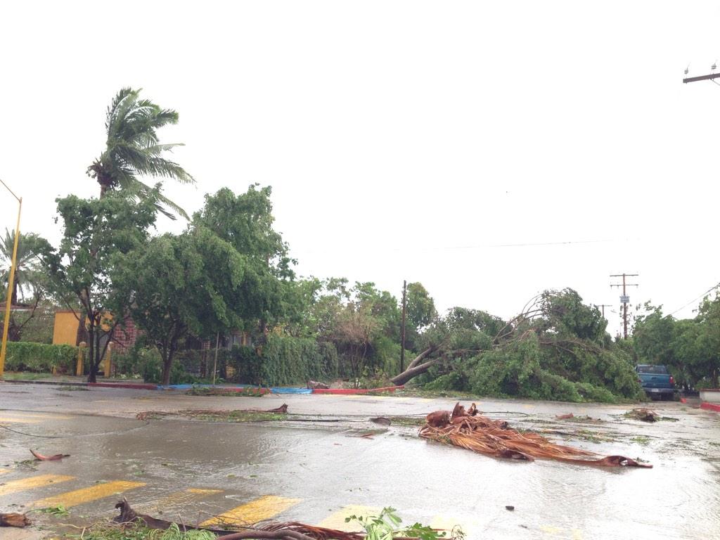 Cabo weather - Odile in La Paz